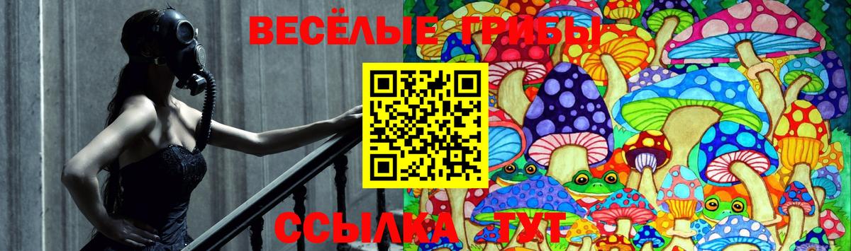 Псилоцибиновые грибы Psilocybine cubensis  Вход с VPN  Псилоцибиновые грибы Psilocybine cubensis  Нижневартовск 